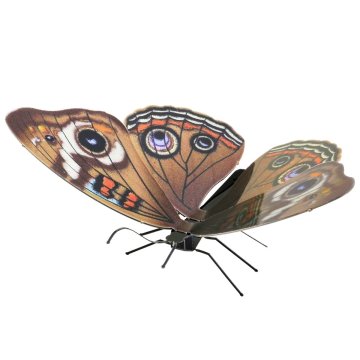maqueta-3d-metal-fascinations-mariposa-buckeye-montaje-sin-pegamento-ni-soldadura