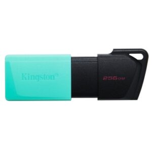 MEMORIA USB 256GB KINGSTON DTXM/256 USB3.2 Exodia M